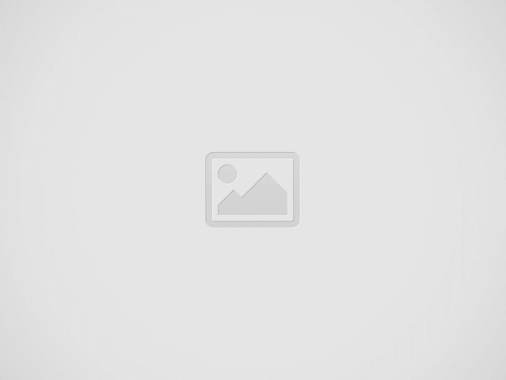 Betchip Apk Dilediğin Yerde Kazandırıyor